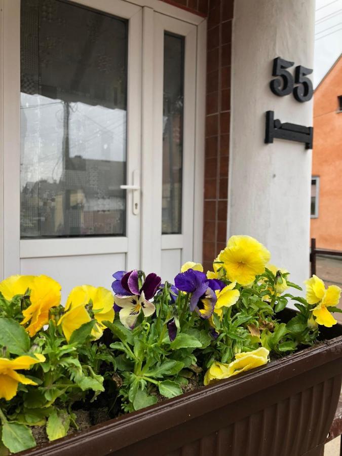 Krin Apartman Subotica Zewnętrze zdjęcie